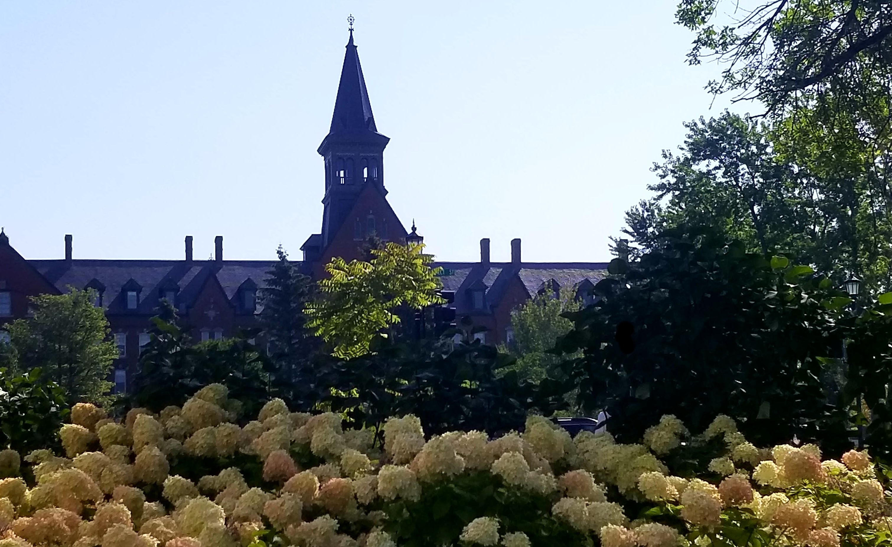 On Not Suffering (Much) in Graduate School: Part 1