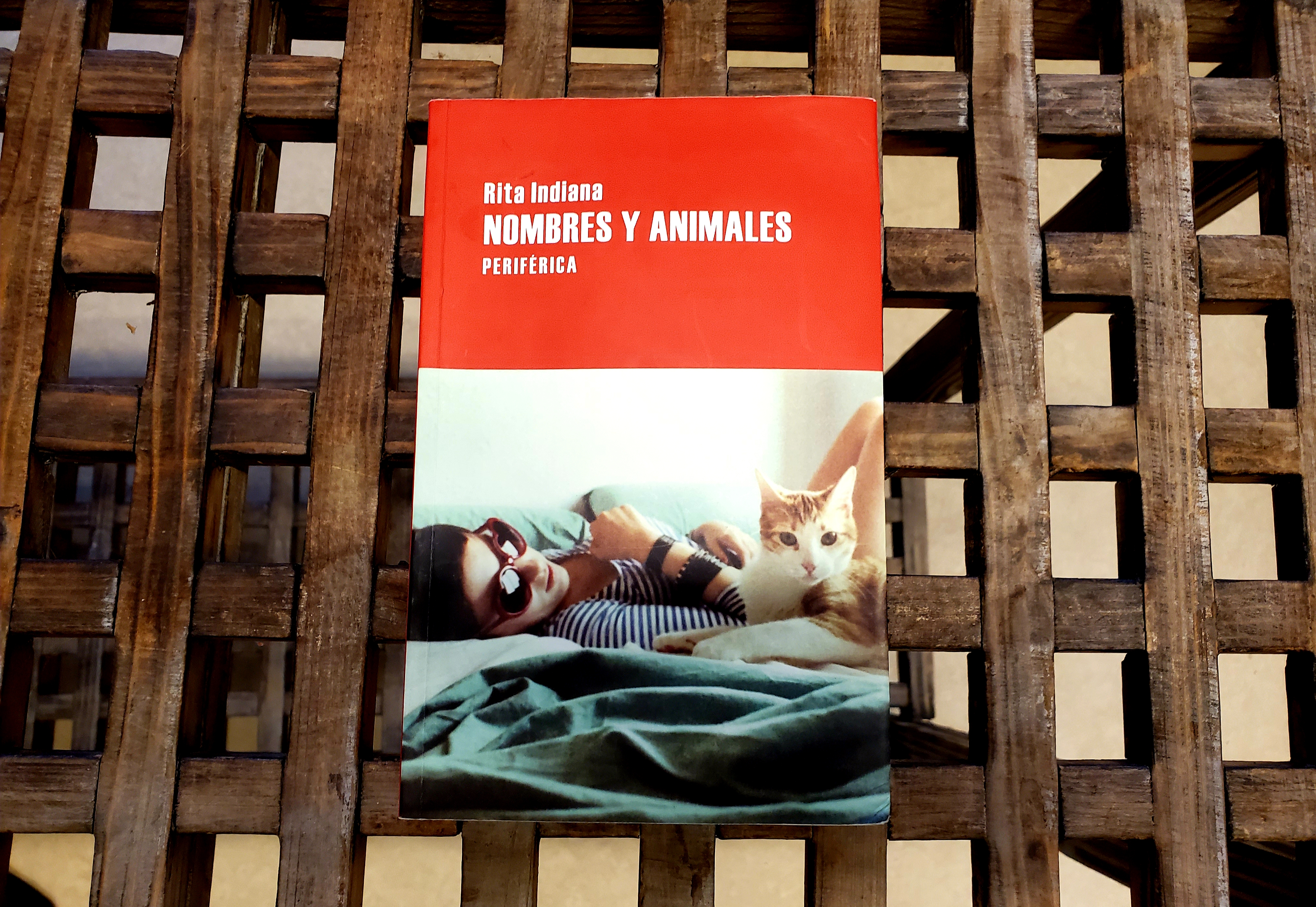 Una novela que nos nombra