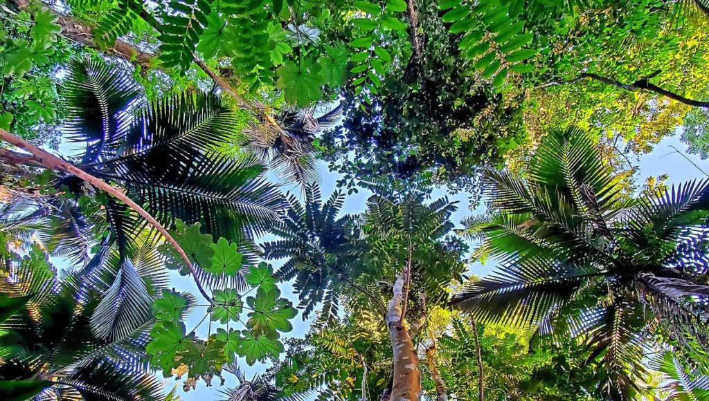 Looking for Moths Under the New&nbsp;Moon