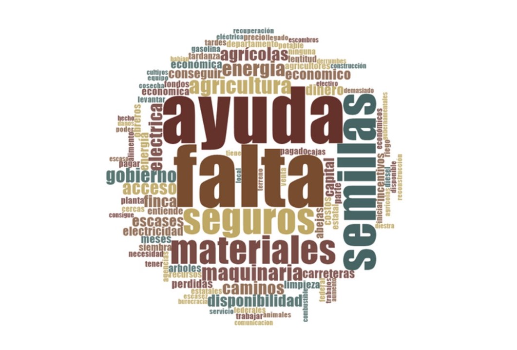 Obstáculos post-María: estrategias futuras para la agricultura