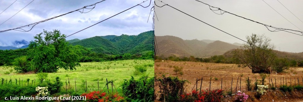 ¡Qué calor, qué calor! La salud y el bienestar no se pueden obviar cuando se habla de adaptación a las altas temperaturas y sequías&nbsp;prolongadas