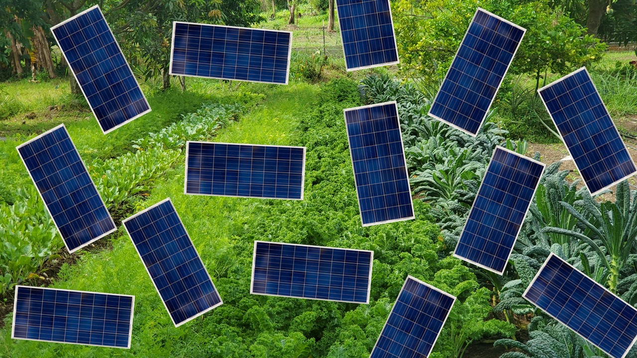 Los terrenos agrícolas son para cosechar comida, no para «sembrar» placas solares