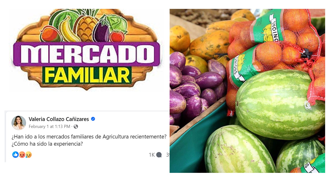 Muchas opiniones sobre los mercados familiares: Debemos transformar cómo producimos y apoyamos productos locales
