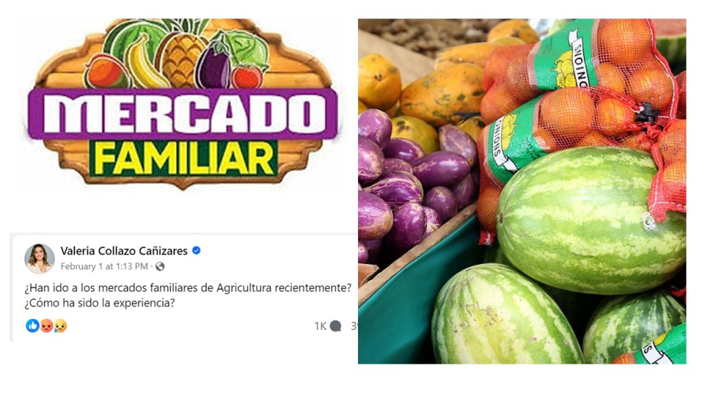 Muchas opiniones sobre los mercados familiares: Debemos transformar cómo producimos y apoyamos productos&nbsp;locales