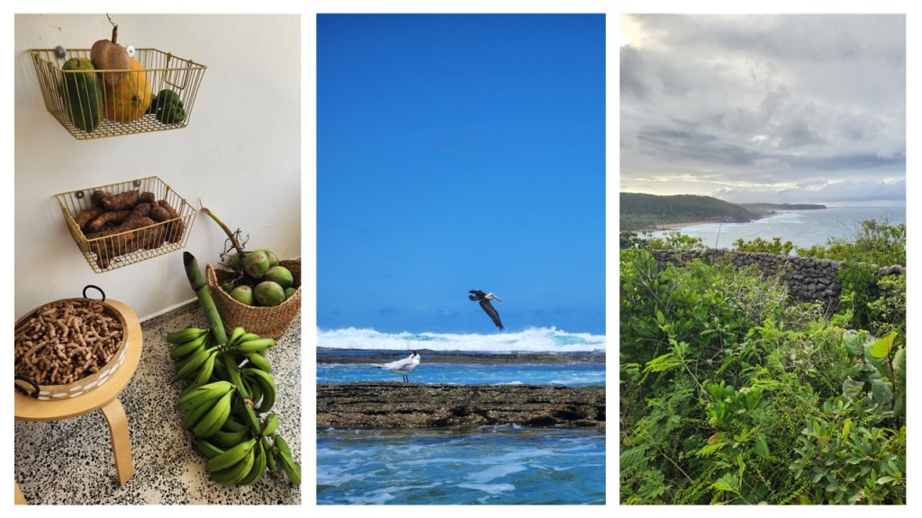 Apuntes desde Quebradillas, Camuy, Isabela y&nbsp;Aguadilla