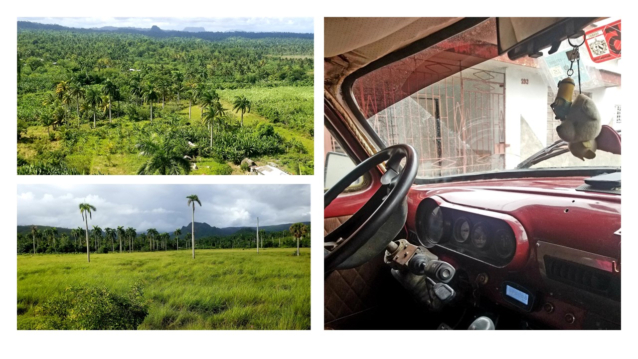 El paisaje retratado por unos ojos pesados
