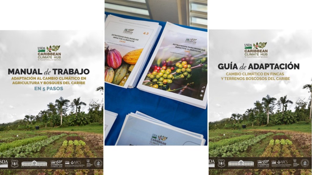 Desde la alacena: Guías de adaptación al cambio&nbsp;climático