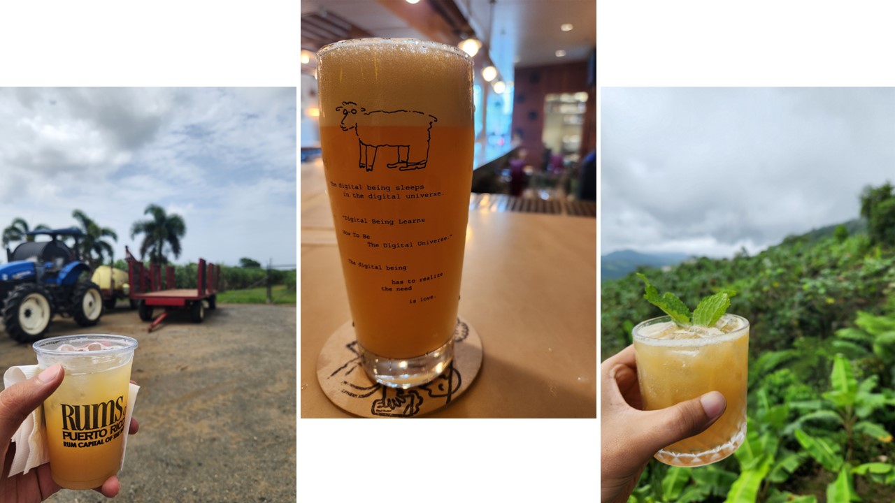 ¿Qué piensas de nuestra relación con el alcohol?