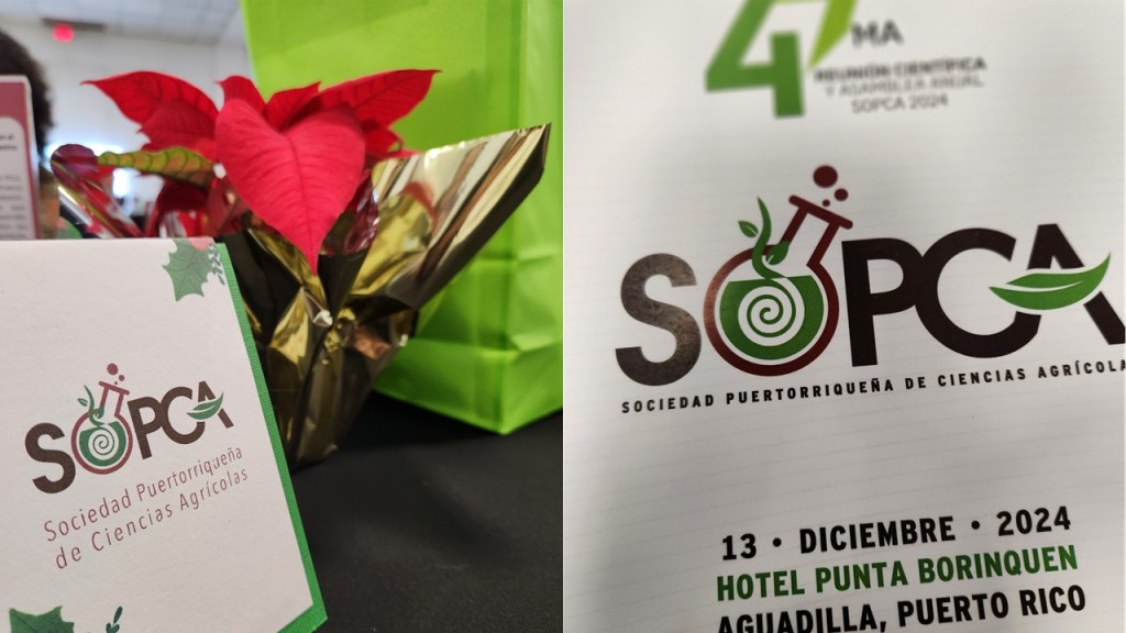 Desde la alacena: Algunos apuntes desde SOPCA&nbsp;2024