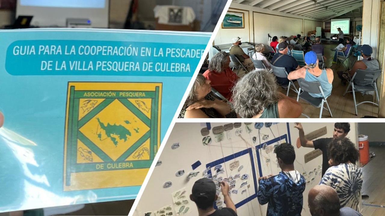 “Un manglar de profesionales”. La cooperación como mecanismo para reducir conflictos en el sector pesquero.