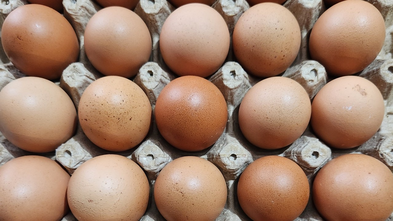 En defensa de los huevos del país