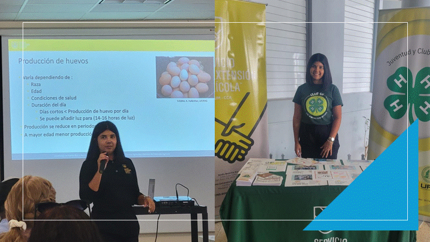 Hablemos sobre producción de huevos en el hogar con Yahaira Torres&nbsp;Burgos
