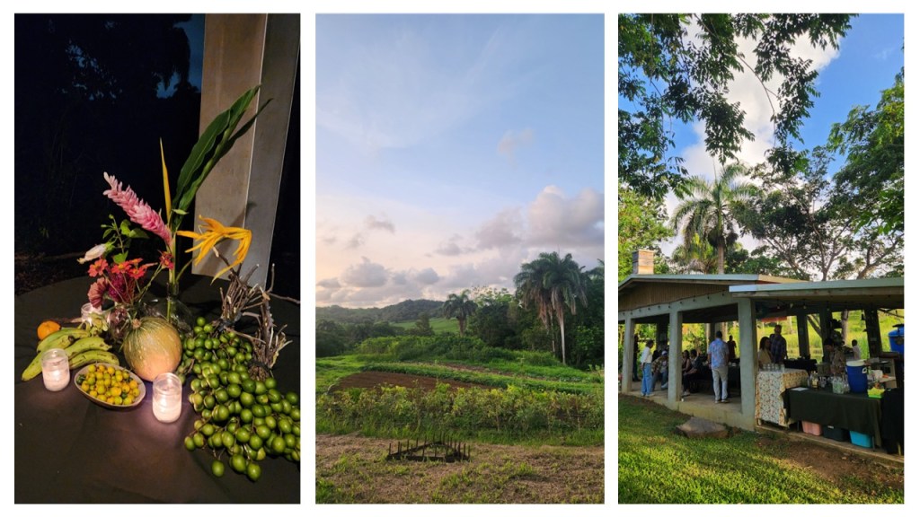 Un Festín en la tala para celebrar un posible “buen&nbsp;vivir”