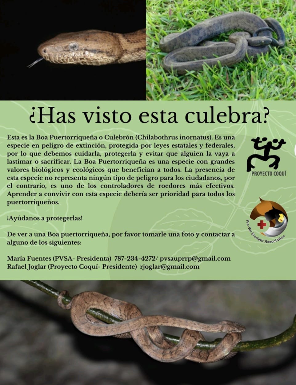 May be an image of snake and text