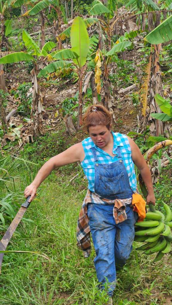 Una foto de una mujer con arboles de guineos en el fondo. 