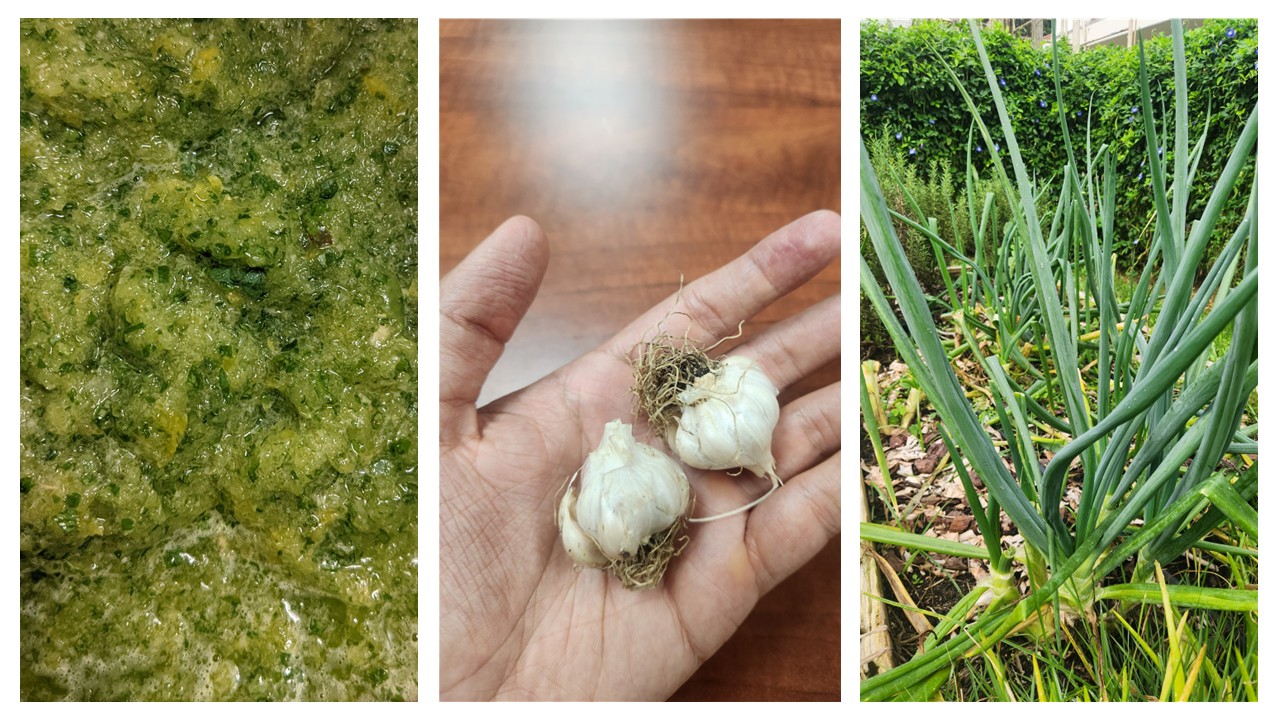 «A falta de cebolla, cebollín». Sobre hacer un sofrito solo con ingredientes del país.