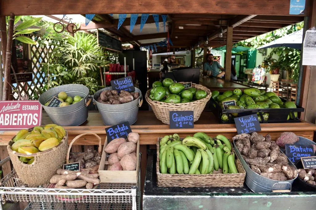 Puesto de frutas y verduras con cestas de guineos, yuca, batatas y otros productos frescos, en un ambiente verde y acogedor.