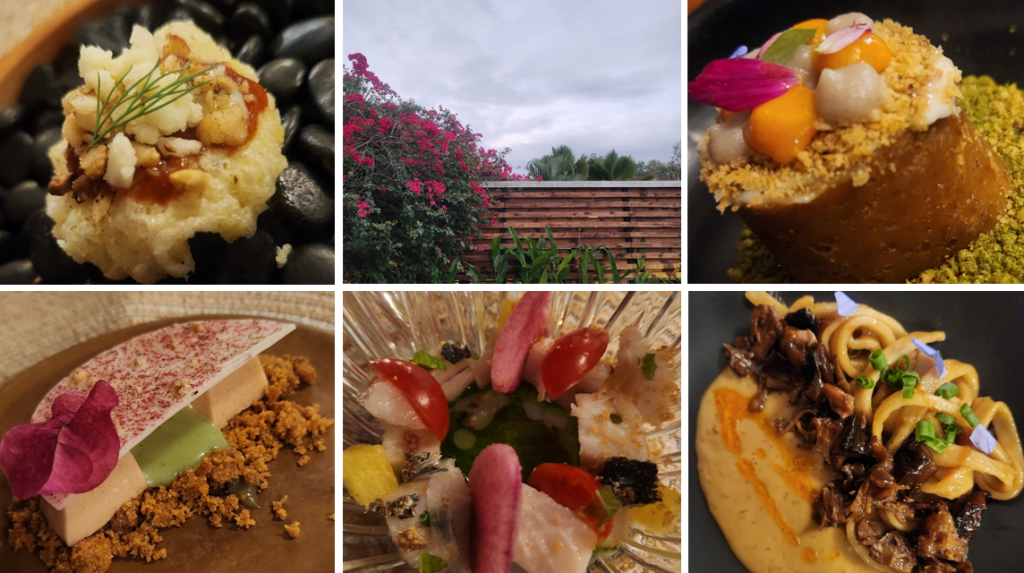 Plato gourmet con ingredientes sobre frijoles negros y salsa dulce.