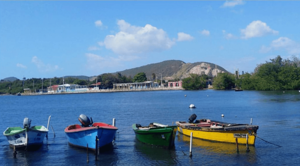 Vista de un cuerpo de agua con varios botes de colores (verde, rojo, azul y amarillo) amarrados, y un paisaje montañoso al fondo.