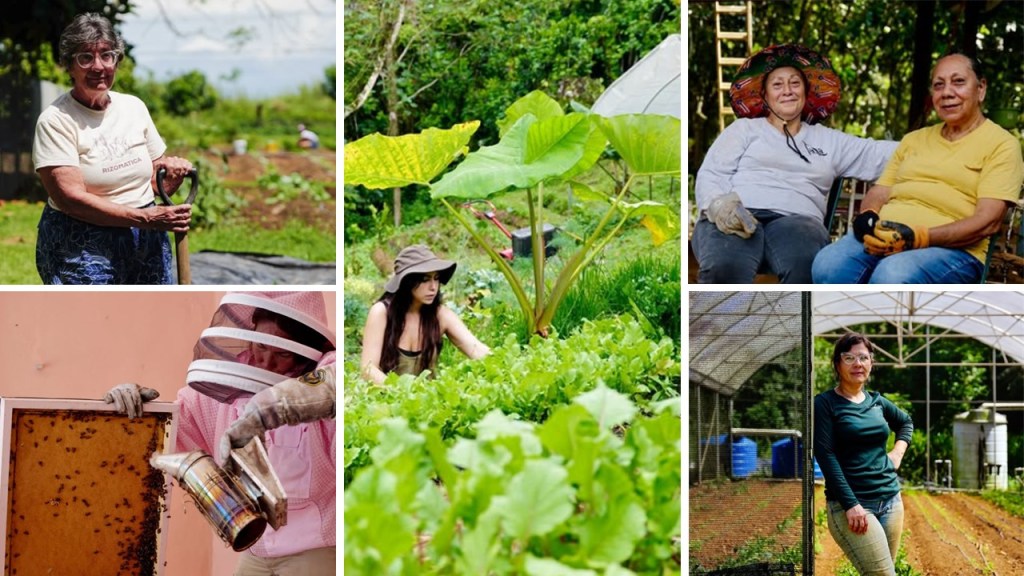 Collage de mujeres trabajando en la agricultura, incluyendo a una mujer con un rastrillo, una apicultora, y dos mujeres sentadas en un jardín.