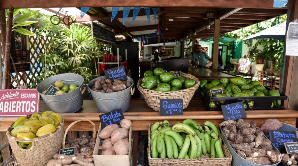 Mercado de frutas y verduras al aire libre, con cestas de guineos, yuca, plátanos y batatas, en un ambiente tropical.